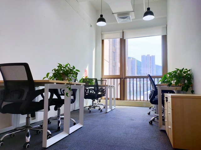 绍兴小型有刷电机销售公司